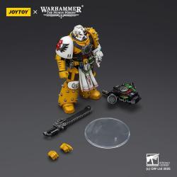 Warhammer 40,000: imperial Fists Figura Legion Apothecary 12 cm