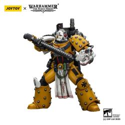 Warhammer 40,000: imperial Fists Figura Legion Apothecary 12 cm