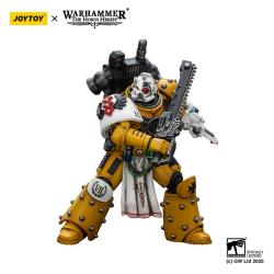 Warhammer 40,000: imperial Fists Figura Legion Apothecary 12 cm