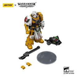 Warhammer 40,000: imperial Fists Figura Legion Apothecary 12 cm