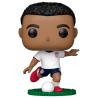 Figura POP United States Tyler Adams