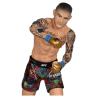 UFC Posed Estatua PVC Dustin Poirier 16 cm