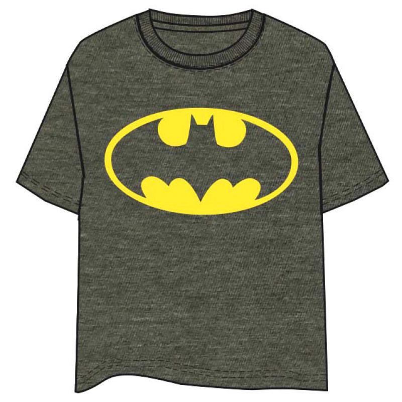 Camiseta Logo Batman DC Comics adulto