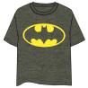 Camiseta Logo Batman DC Comics adulto
