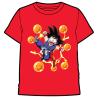 Camiseta Goku Balls Dragon Ball adulto
