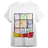 Camiseta Personajes Dragon Ball Z adulto