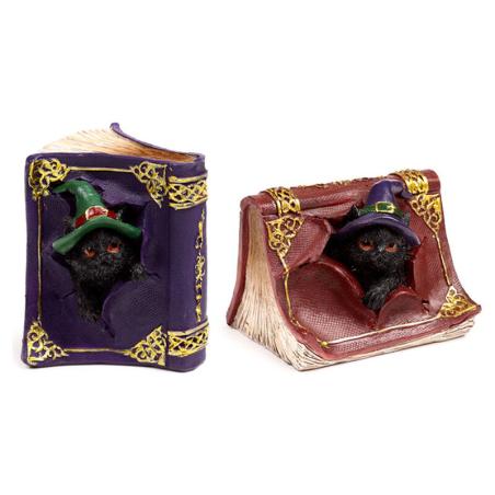 Figura Brujas Gato Negro surtido