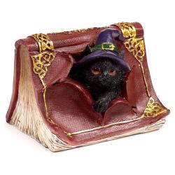 Figura Brujas Gato Negro surtido