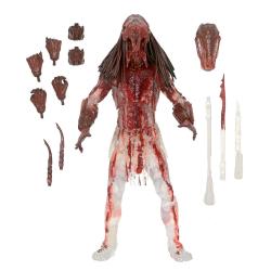 Figura Ultimate Bear Blood Feral Predator Prey 18cm | Edición Ultimate - Frikimaz