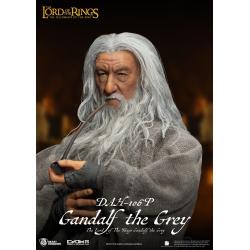 El Señor de los Anillos Figura Dynamic 8ction Heroes 1/9 Gandalf the Grey 21 cm