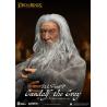 El Señor de los Anillos Figura Dynamic 8ction Heroes 1/9 Gandalf the Grey 21 cm