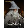 El Señor de los Anillos Figura Dynamic 8ction Heroes 1/9 Gandalf the Grey 21 cm