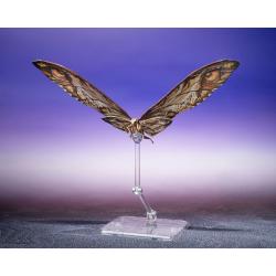 Godzilla x Kong: The New Empire Pack de 2 Figuras S.H. Monster Arts Suko & Mothra