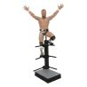 AEW Gallery Estatua Bryan Danielson 25 cm