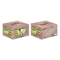 Hunter x Hunter Bol para Ramen con Palillos Logo 473 ml