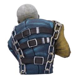 Iron Maiden Busto Piece of Mind 12 cm