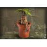 Harry Potter Estatua Magical Creatures Mandrake 13 cm